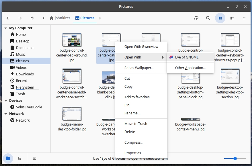 Budgie Context Menu