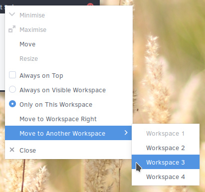 MATE Workspace Menu